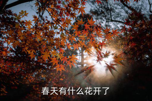 春天有什么花開了