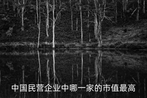 中國民營企業(yè)中哪一家的市值最高