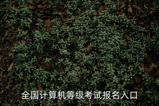 全國計算機等級考試報名入口