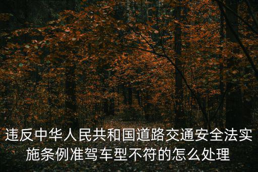 與準駕車型不符的怎么處理，違反中華人民共和國道路交通安全法實施條例準駕車型不符的怎么處理