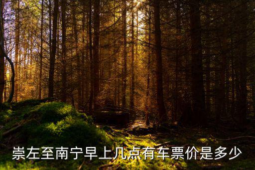 崇左到南寧，祟左市到南寧市客車票價多少