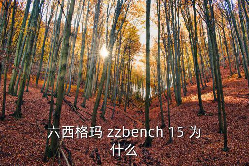 六西格瑪 zzbench 15 為什么