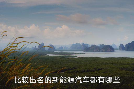 比較出名的新能源汽車都有哪些