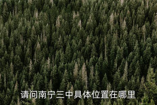 南寧三中五象校區(qū)，請問南寧三中具體位置在哪里