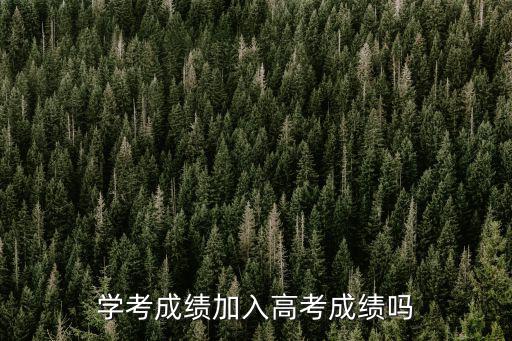 學(xué)考成績(jī)加入高考成績(jī)嗎