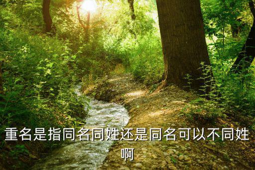 重名，重名是指同名同姓還是同名可以不同姓啊