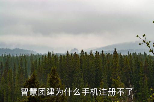 智慧團建為什么手機注冊不了