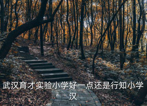 育才實(shí)驗(yàn)小學(xué)，揚(yáng)州市育才實(shí)驗(yàn)小學(xué)和梅嶺小學(xué)哪個(gè)好急啊2016年就要入學(xué)了