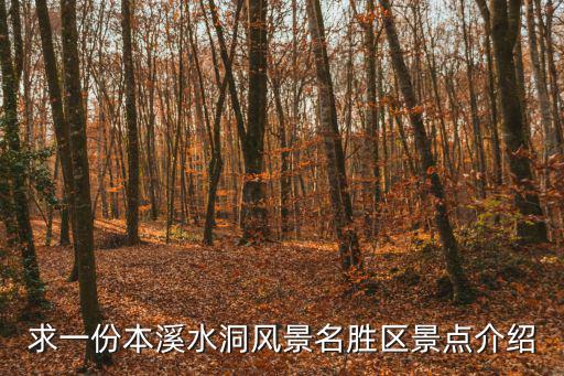 求一份本溪水洞風(fēng)景名勝區(qū)景點(diǎn)介紹