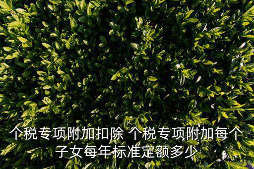 個(gè)稅專項(xiàng)附加扣除 個(gè)稅專項(xiàng)附加每個(gè)子女每年標(biāo)準(zhǔn)定額多少