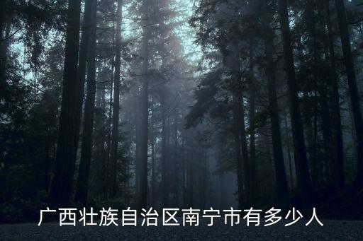 南寧市區人口，廣西壯族自治區南寧市有多少人