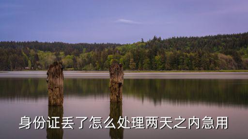 身份證丟了怎么處理兩天之內(nèi)急用