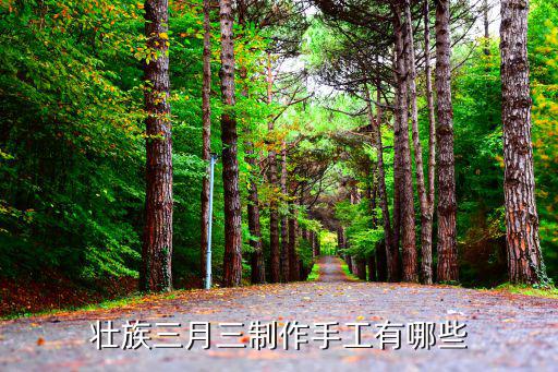 壯族三月三制作手工有哪些