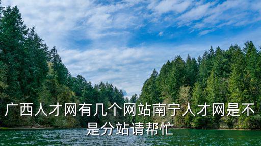 廣西人才網(wǎng)有幾個網(wǎng)站南寧人才網(wǎng)是不是分站請幫忙
