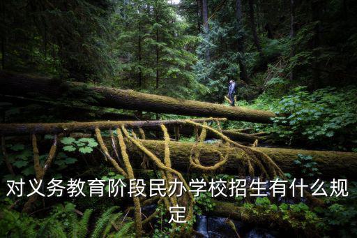 對義務教育階段民辦學校招生有什么規定
