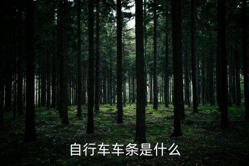 車條，自行車中有幾根車條