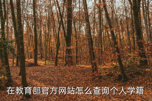 學(xué)籍信息查詢系統(tǒng)，在教育部官方網(wǎng)站怎么查詢個(gè)人學(xué)籍