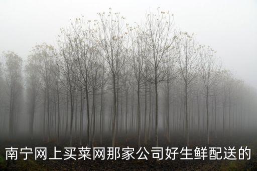 南寧網(wǎng)上超市，南寧網(wǎng)上買菜網(wǎng)那家公司好生鮮配送的