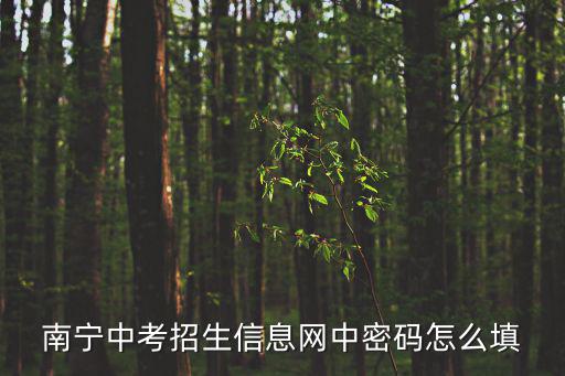 南寧中考招生信息網，南寧中考等級排名普通高中招生截止日期