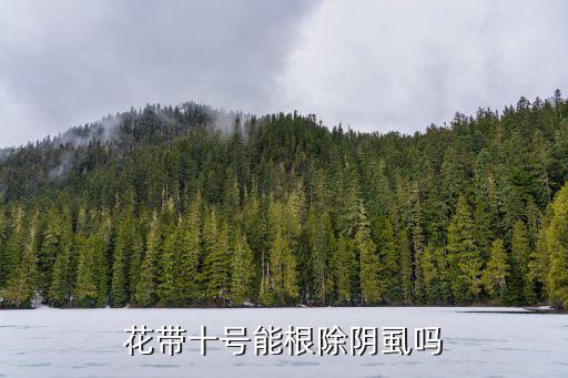 十號，花帶十號能根除陰虱嗎