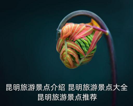 昆明旅游景點介紹 昆明旅游景點大全 昆明旅游景點推薦