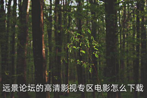 遠景論壇的高清影視專區(qū)電影怎么下載