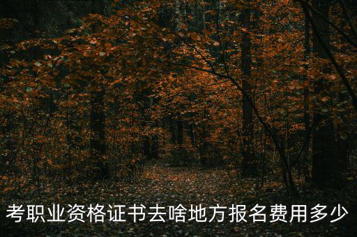 執業資格考試，職業資格考試有哪幾種