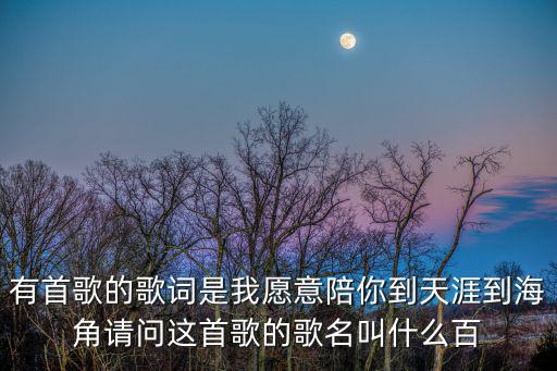有首歌的歌詞是我愿意陪你到天涯到海角請問這首歌的歌名叫什么百