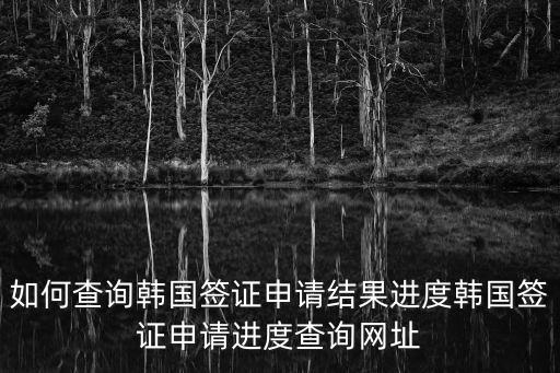 韓國簽證查詢網(wǎng)站，韓國旅游簽證結(jié)果查詢網(wǎng)址
