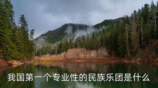 我國第一個專業性的民族樂團是什么