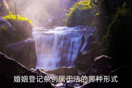 婚姻登記條例屬于法的哪種形式