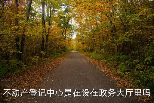 不動(dòng)產(chǎn)登記中心是在設(shè)在政務(wù)大廳里嗎
