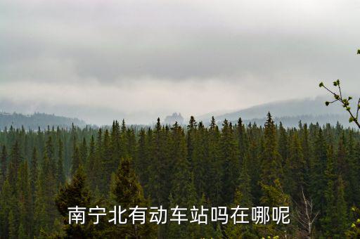 南寧北有動車站嗎在哪呢