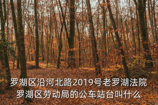羅湖區沿河北路2019號老羅湖法院羅湖區勞動局的公車站臺叫什么