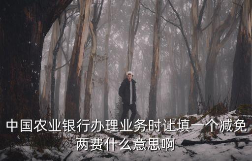 中國農業銀行辦理業務時讓填一個減免兩費什么意思啊