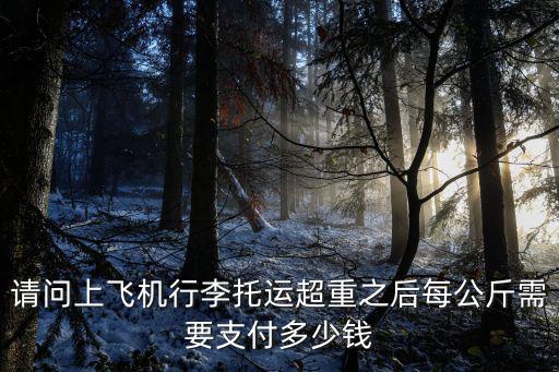 請問上飛機行李托運超重之后每公斤需要支付多少錢