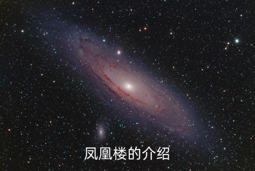 鳳凰樓，俗話說的鳳凰樓層是哪一層