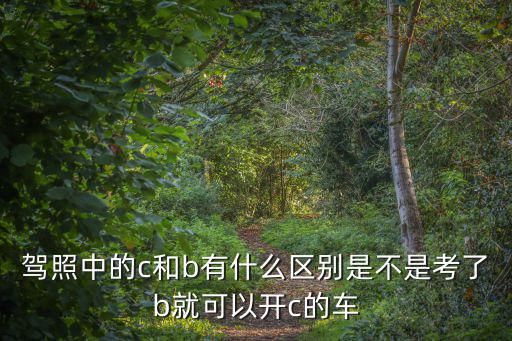 駕照中的c和b有什么區(qū)別是不是考了b就可以開c的車