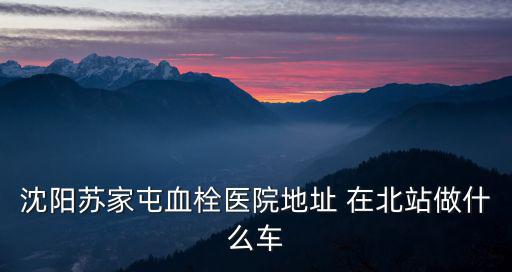 沈陽蘇家屯血栓醫院地址 在北站做什么車