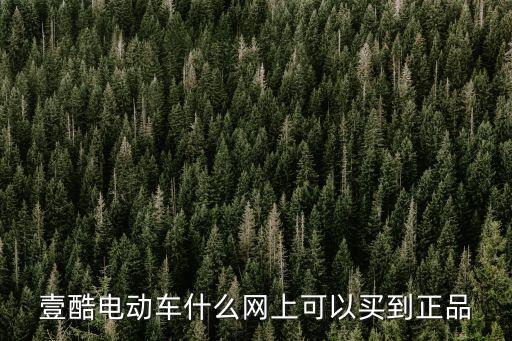 壹酷電動車什么網上可以買到正品