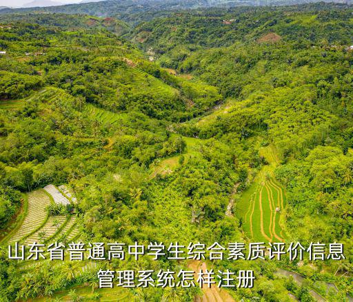 山東省普通高中學(xué)生綜合素質(zhì)評價信息管理系統(tǒng)怎樣注冊