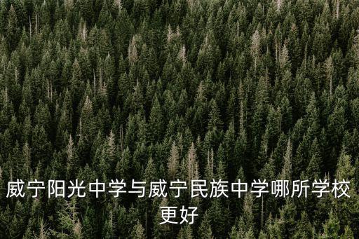 威寧陽(yáng)光中學(xué)與威寧民族中學(xué)哪所學(xué)校更好