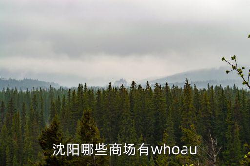 沈陽哪些商場有whoau