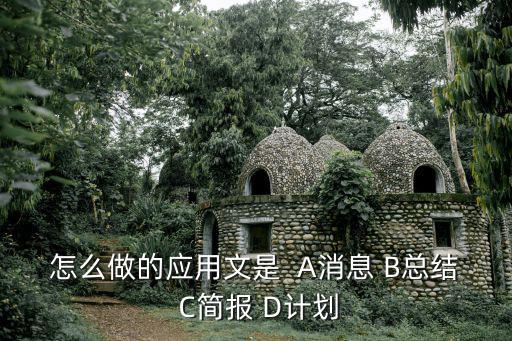 d計(jì)劃，頭文字D中D計(jì)劃指什么