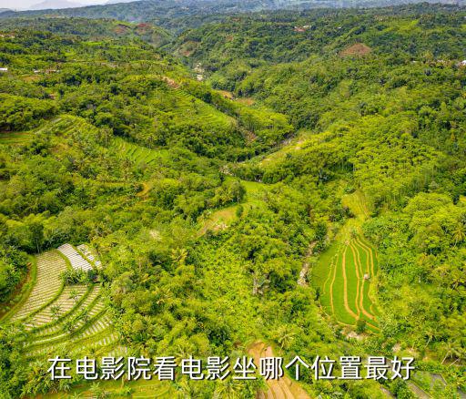 電影院座位，在電影院看電影坐哪個(gè)位置最好