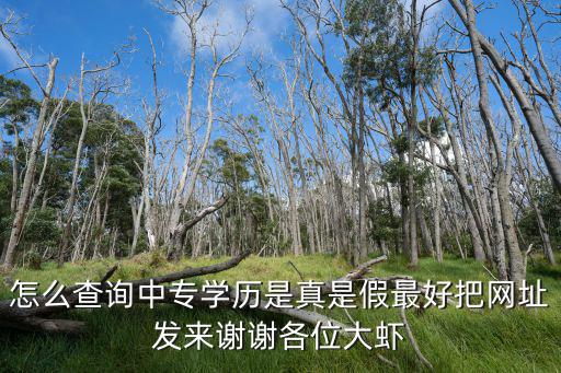 怎么查詢中專學(xué)歷是真是假最好把網(wǎng)址發(fā)來謝謝各位大蝦