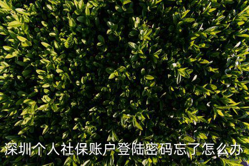 深圳個人社保賬戶登陸密碼忘了怎么辦