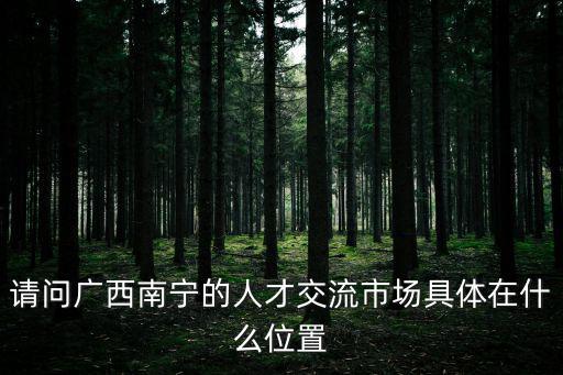 請問廣西南寧的人才交流市場具體在什么位置