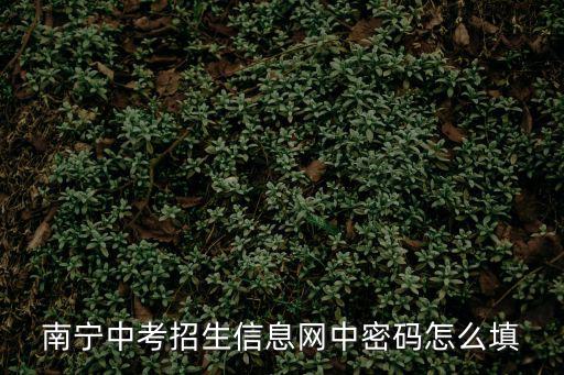 南寧中考招生信息網中密碼怎么填