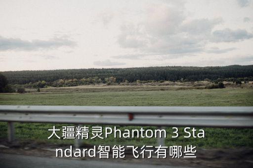 大疆精靈Phantom 3 Standard智能飛行有哪些